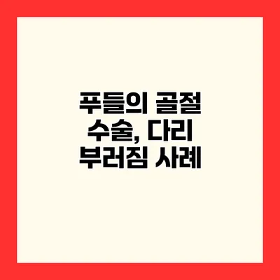 푸들의 골절 수술, 다리 부러짐 사례