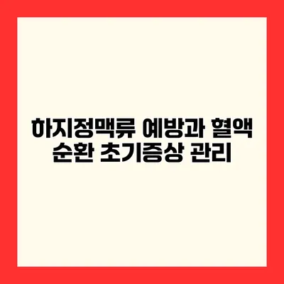 하지정맥류 예방과 혈액 순환 초기증상 관리