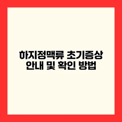 하지정맥류 초기증상 안내 및 확인 방법