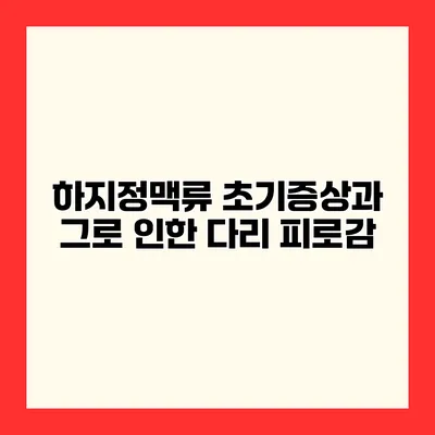 하지정맥류 초기증상과 그로 인한 다리 피로감