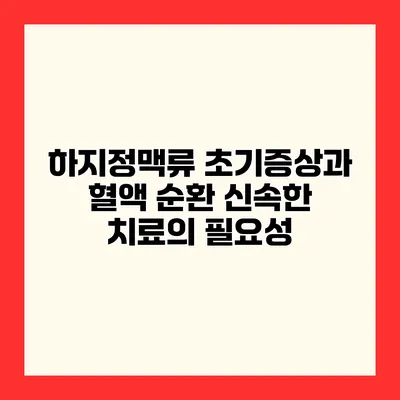 하지정맥류 초기증상과 혈액 순환 신속한 치료의 필요성