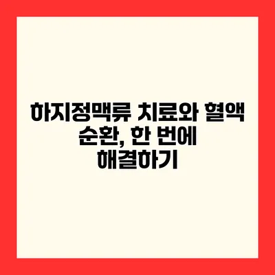 하지정맥류 치료와 혈액 순환, 한 번에 해결하기