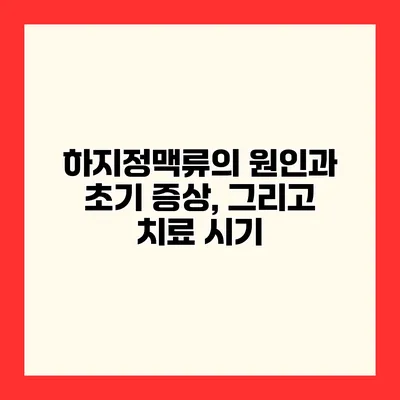 하지정맥류의 원인과 초기 증상, 그리고 치료 시기