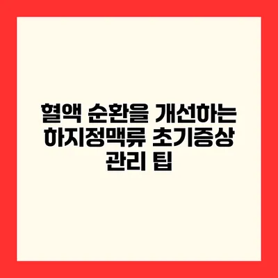 혈액 순환을 개선하는 하지정맥류 초기증상 관리 팁