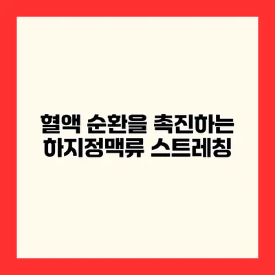혈액 순환을 촉진하는 하지정맥류 스트레칭